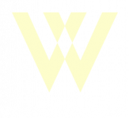 world soccer